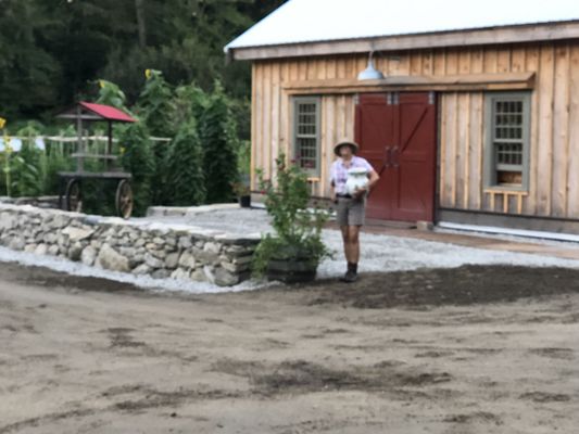 Proprietor Claire watering planter