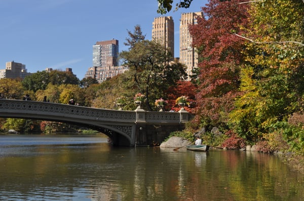 Bow Bridge is the perfect romantic stop for our couples Photo-shoot. Lots of surprise proposals...hint hint