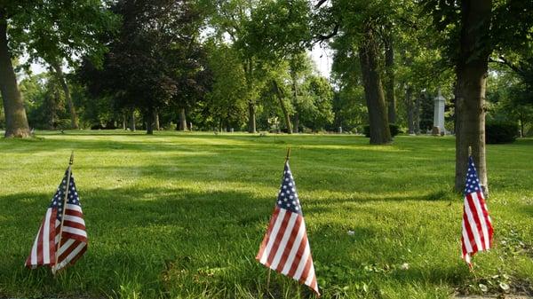 Our well-manicured grounds and majestic trees.