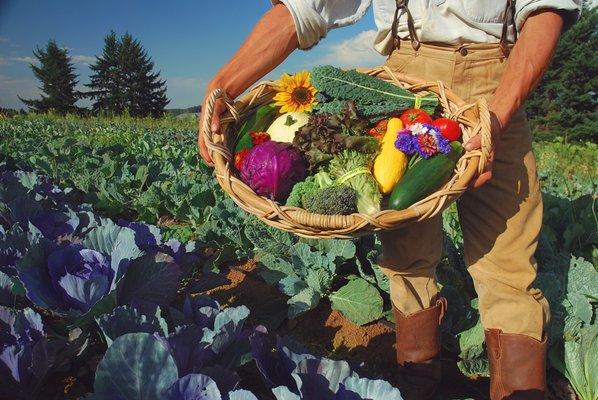 A sample of what is in a July basket, held by our own Camas Swale Farmer.... photo credit Jason Rydquist.