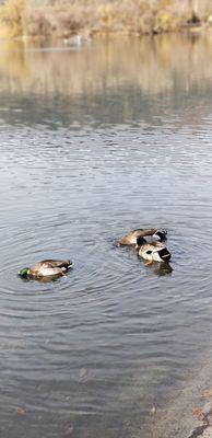 Four Island Lake