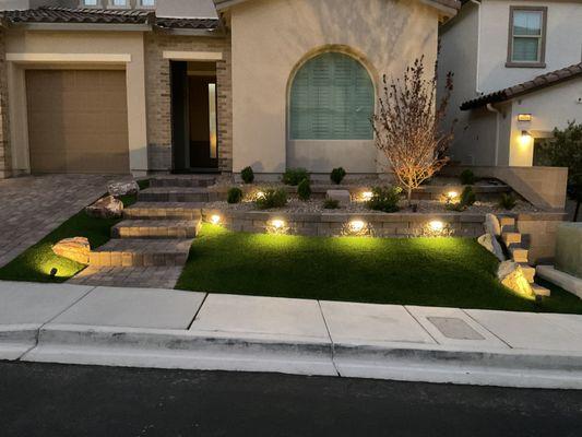 Nighttime view of yard