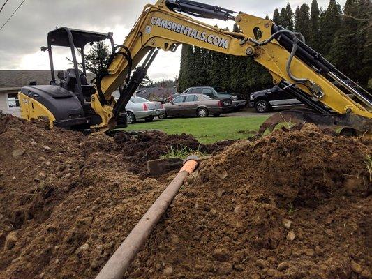 Prepping the ground for a brand new shed.