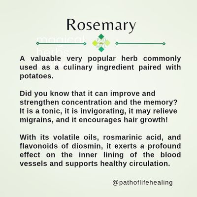 A great herb for brain health and hair health! Rosemary is all about the head!