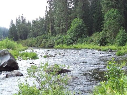 The river right above the swimming hole.