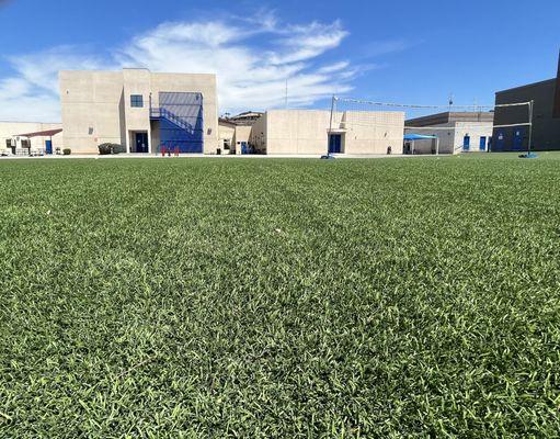 Purchase Green Artificial Grass