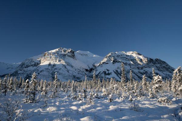 blue bird day at the trailhead!