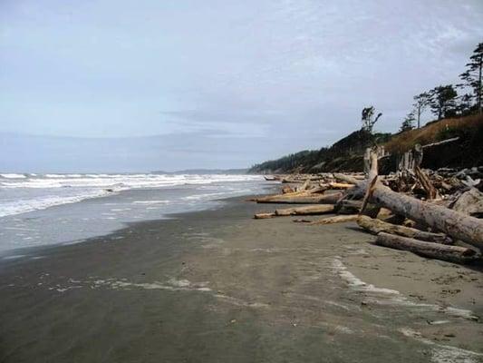 Port Williams beach