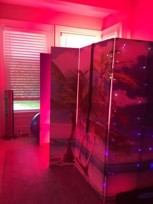 This is our Red Light Therapy booth.