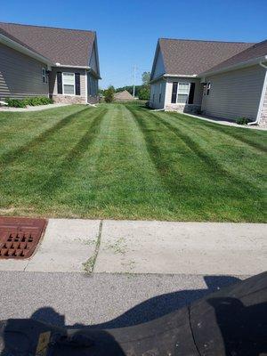 Mowing stripes.