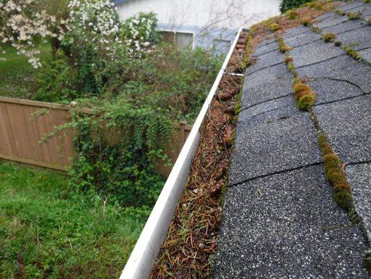 Moss on a roof with full gutters