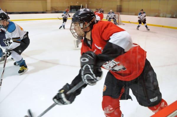 There are a variety of skill level based youth and adult recreational hockey leagues available to join!