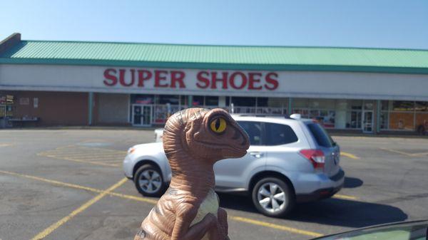 Bob the Raptor Says "Mammals come here to get things to put on their feet."