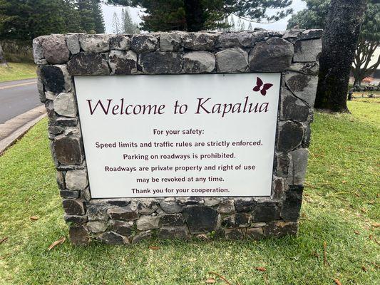 6/3/22 Kapalua walking trails