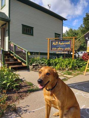 Shaka, the shop dog.