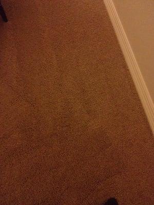 Choice Carpet Cleaning & Floor Care