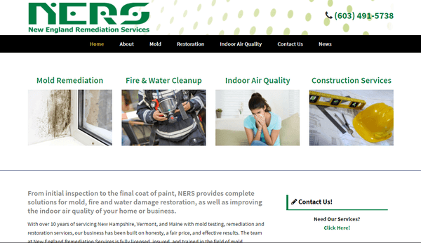 Mold Remediation company website