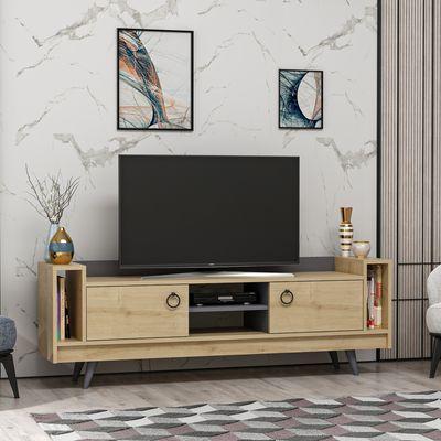 Modern Tv Stand / Entertainment Center