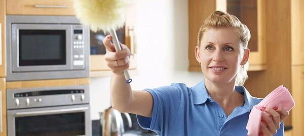 Bright Light Cleaning Services