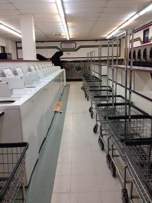 Many more washing machines and a lot of laundry carts to offer