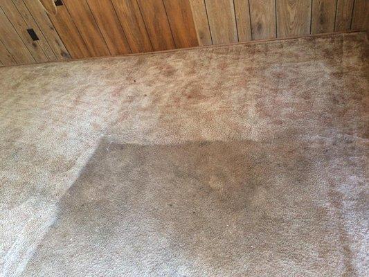 You may not think your carpets are dirty... but wait until you see the difference!