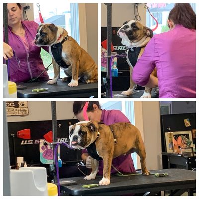 Last minute pedicure for Bert while we were in town- THANK YOU!! Greatly appreciated! Kind, quick, and reasonable prices!