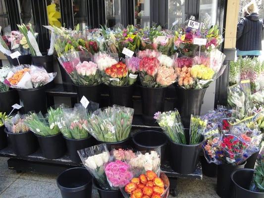 Variety of flowers to pick from