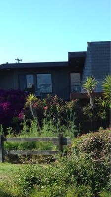 View of the front door to the school (from the car wash next door).