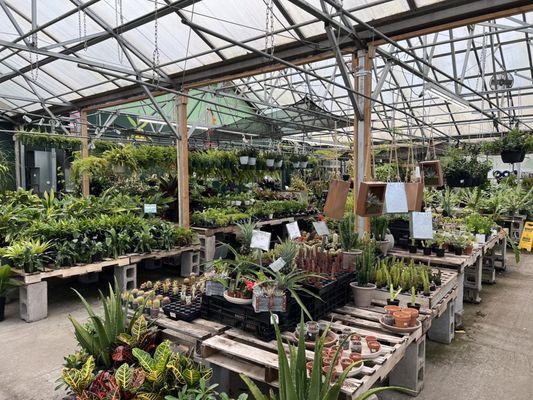 Hewitts Garden Center