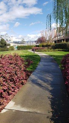 Entrance towards the shore off of Independence Drive.