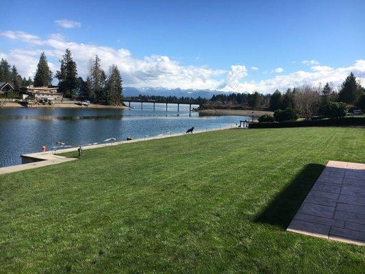 Keeping Lake Tapps Lawns AmaZing