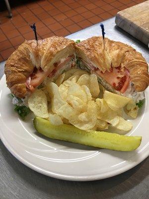 Wednesday Daily Special - Chicken Salad on a Croissant