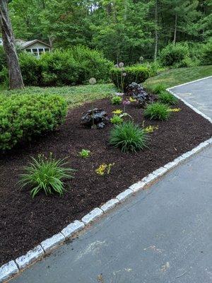 Spring clean up and added perennials for more color and substance to this large area by the driveway.