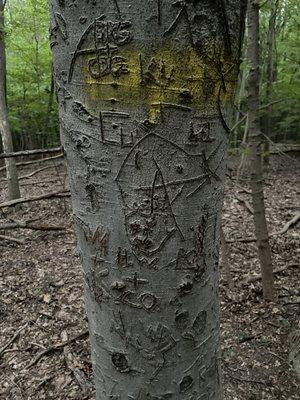 Blair Witch looking carvings