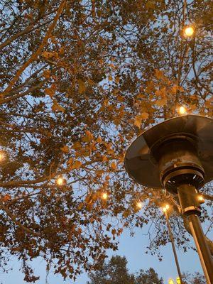 Ahhh. It's nice to relax under a tree with lights next to a heat lamp.