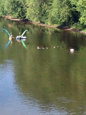 Watching the paper boat races