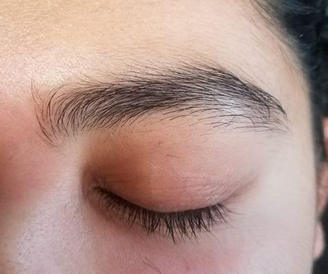 Before Brow Clean Up