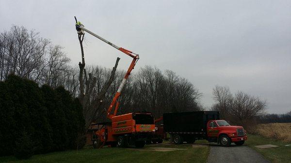 Dependable Tree Service, Inc