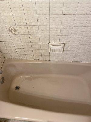 Before/ mold bathroom tiles