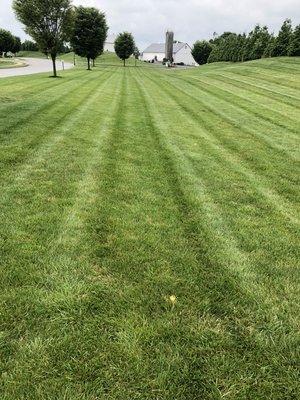 Lawn mowed at Stoltzfus Meats