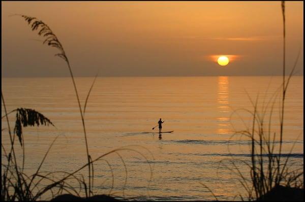 Sand Key Paddle Sports