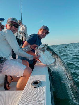 tarpon