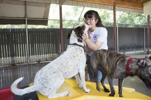 Canine Country Club - North Valley