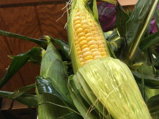 Nothing better than homegrown sweet corn