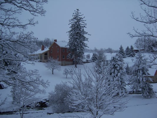 After a beautiful January snow.