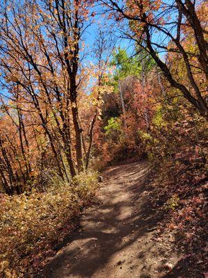 Armstrong Trail