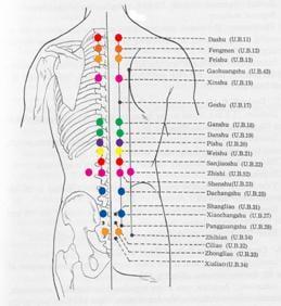 Meridians