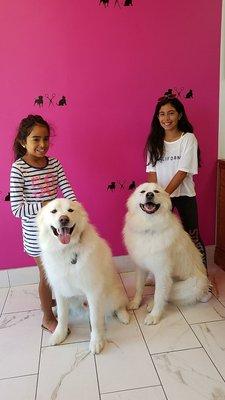 Paws N Claws Pet Parlor