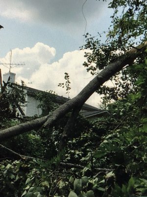 Storm damaged tree fell on a home. We provided emergency tree removal and cleaned up the mess.