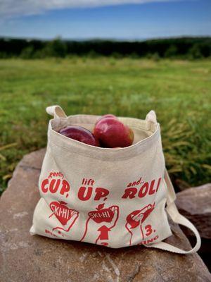 Apple picking at Ski-Hi.